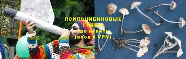 прущий лед Арсеньев