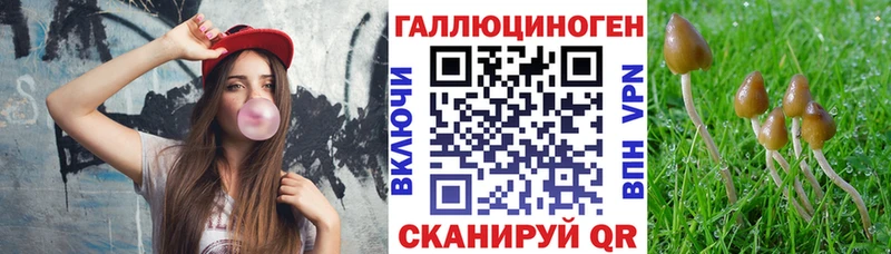 Галлюциногенные грибы ЛСД  Зея 